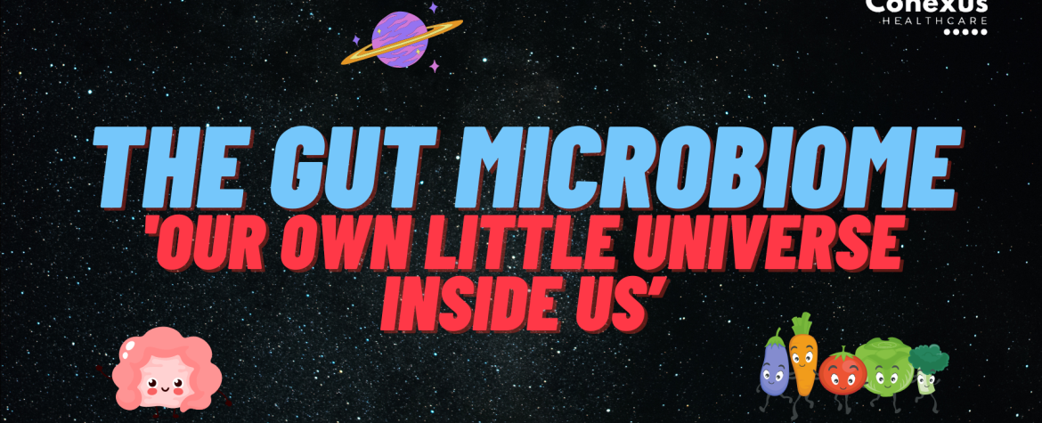 The gut microbiome graphic.
