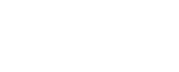 Conexus Logo